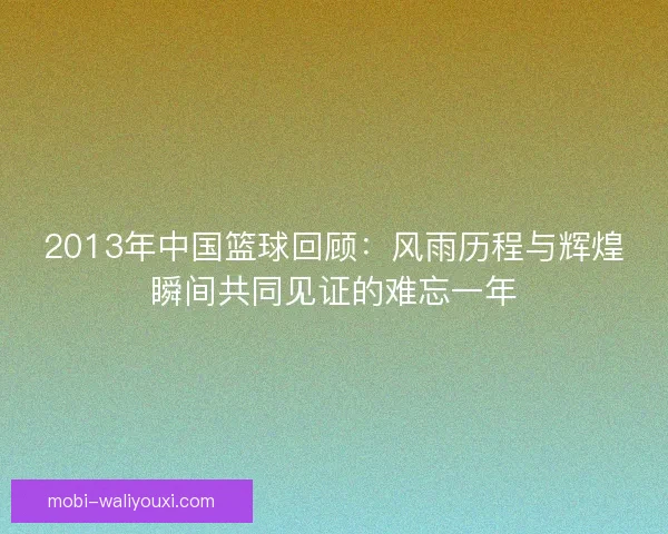 2013年中国篮球回顾：风雨历程与辉煌瞬间共同见证的难忘一年