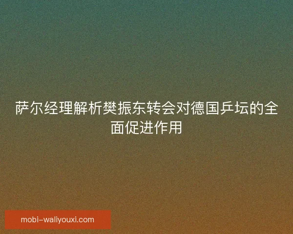 萨尔经理解析樊振东转会对德国乒坛的全面促进作用