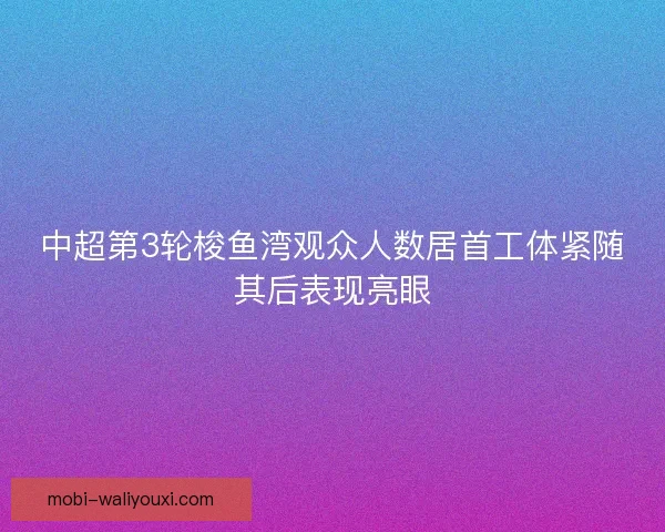 中超第3轮梭鱼湾观众人数居首工体紧随其后表现亮眼 中超第3轮梭鱼湾观众人数居首工体紧随其后表现亮眼